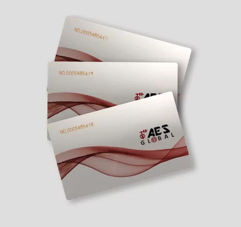 AES PROXCARD 125K (Single Card)