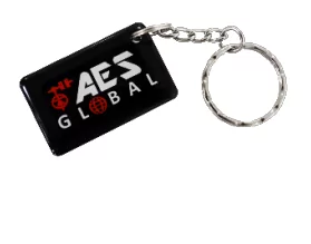 100 x AES Branded Prox Tag