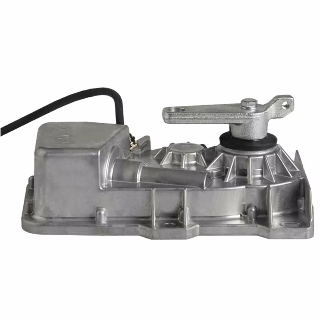 CAME Frog-X 24V Gate Motor